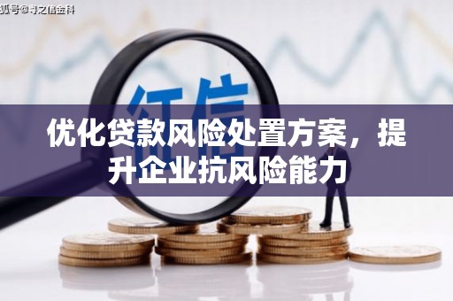 苍南优化贷款风险处置方案，提升企业抗风险能力