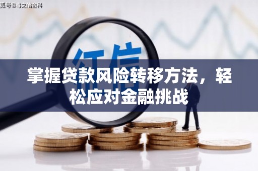 阳东掌握贷款风险转移方法，轻松应对金融挑战